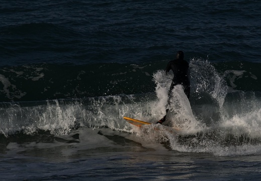 2023-11-07 Surf