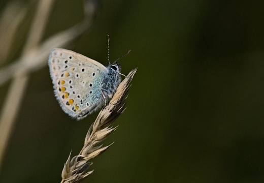 2024-09-14 Fin d'été