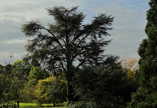 2024-10-08 Chèvreloup