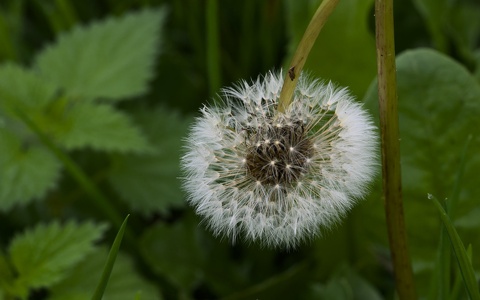 P1014253