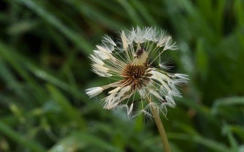 P1014243